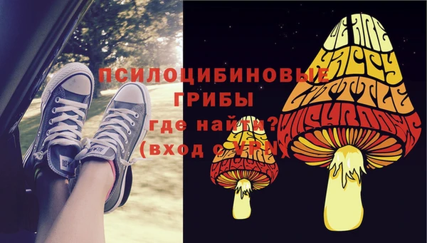 дживик Зеленокумск