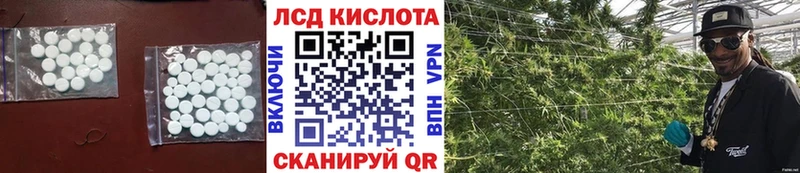 купить наркоту  Щёлково  ЛСД экстази ecstasy 