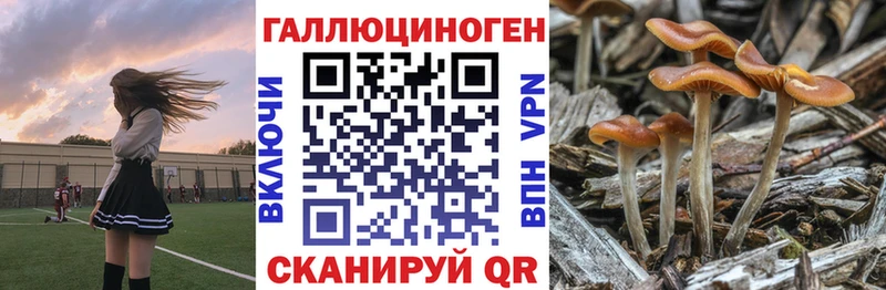 где найти   darknet официальный сайт  ссылка на мегу как зайти  Псилоцибиновые грибы Magic Shrooms  Щёлково 